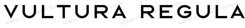 Vultura Regular字体转换